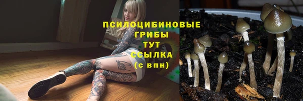 MESCALINE Нефтегорск