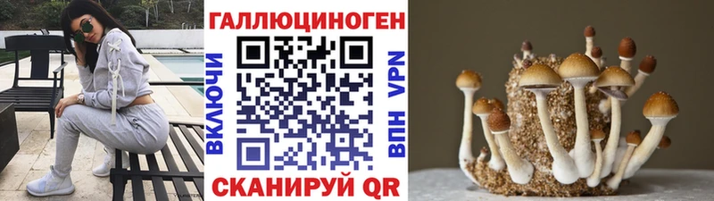 Псилоцибиновые грибы MAGIC MUSHROOMS  Чудово 