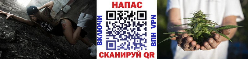 Марихуана Amnesia  hydra ссылка  дарк нет клад  Чудово 